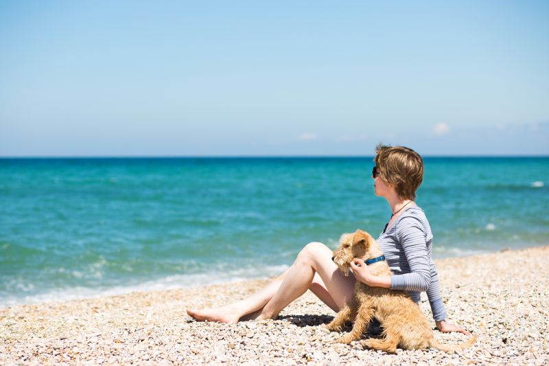 Dog-Friendly Beaches on the East Coast