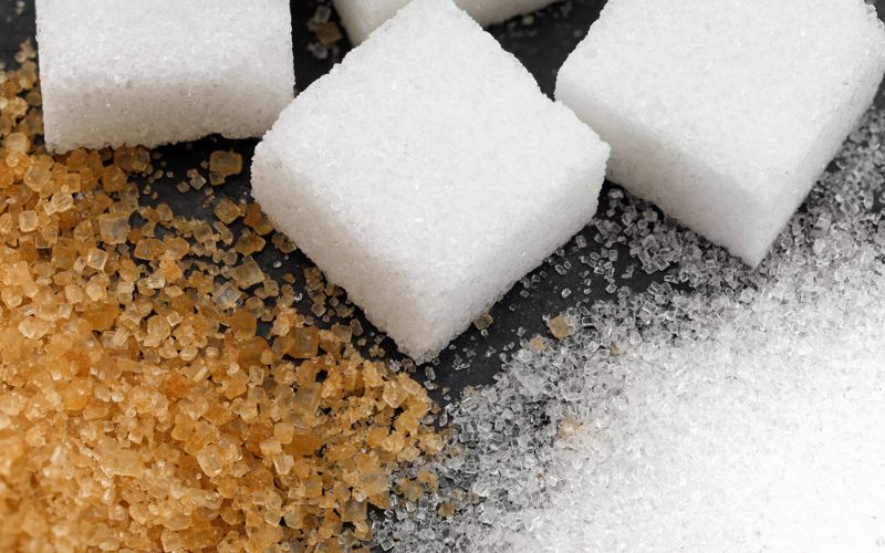 can dogs have sugar