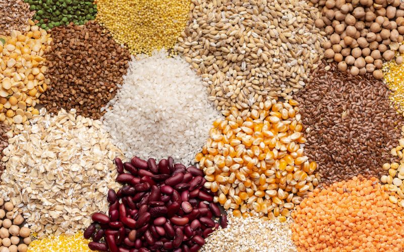 grains for dogs