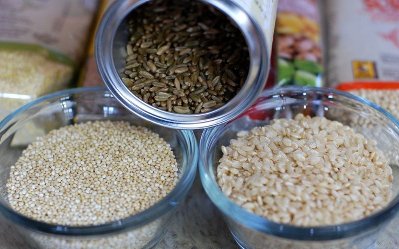 questions about starches for dogs