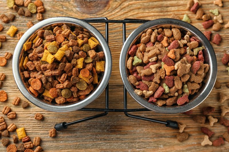 how to pick a dog food