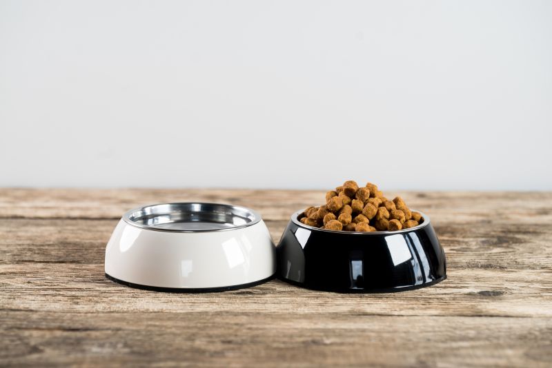 Dog Food Checklist
