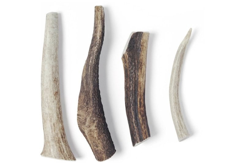 Antlers for dogs