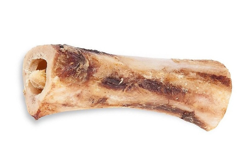 bones