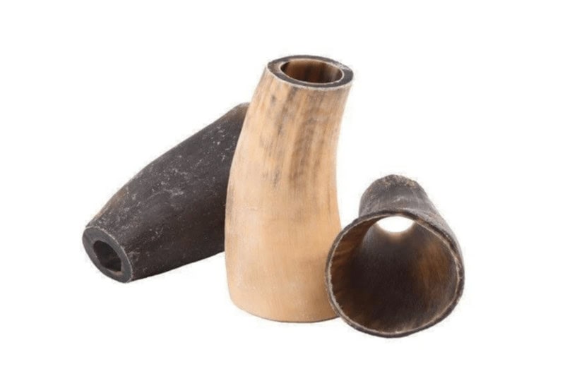 horns