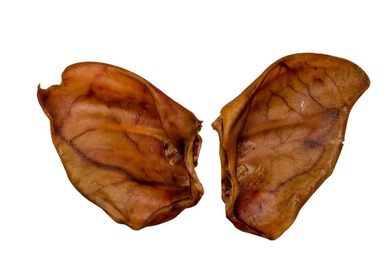 pig ear